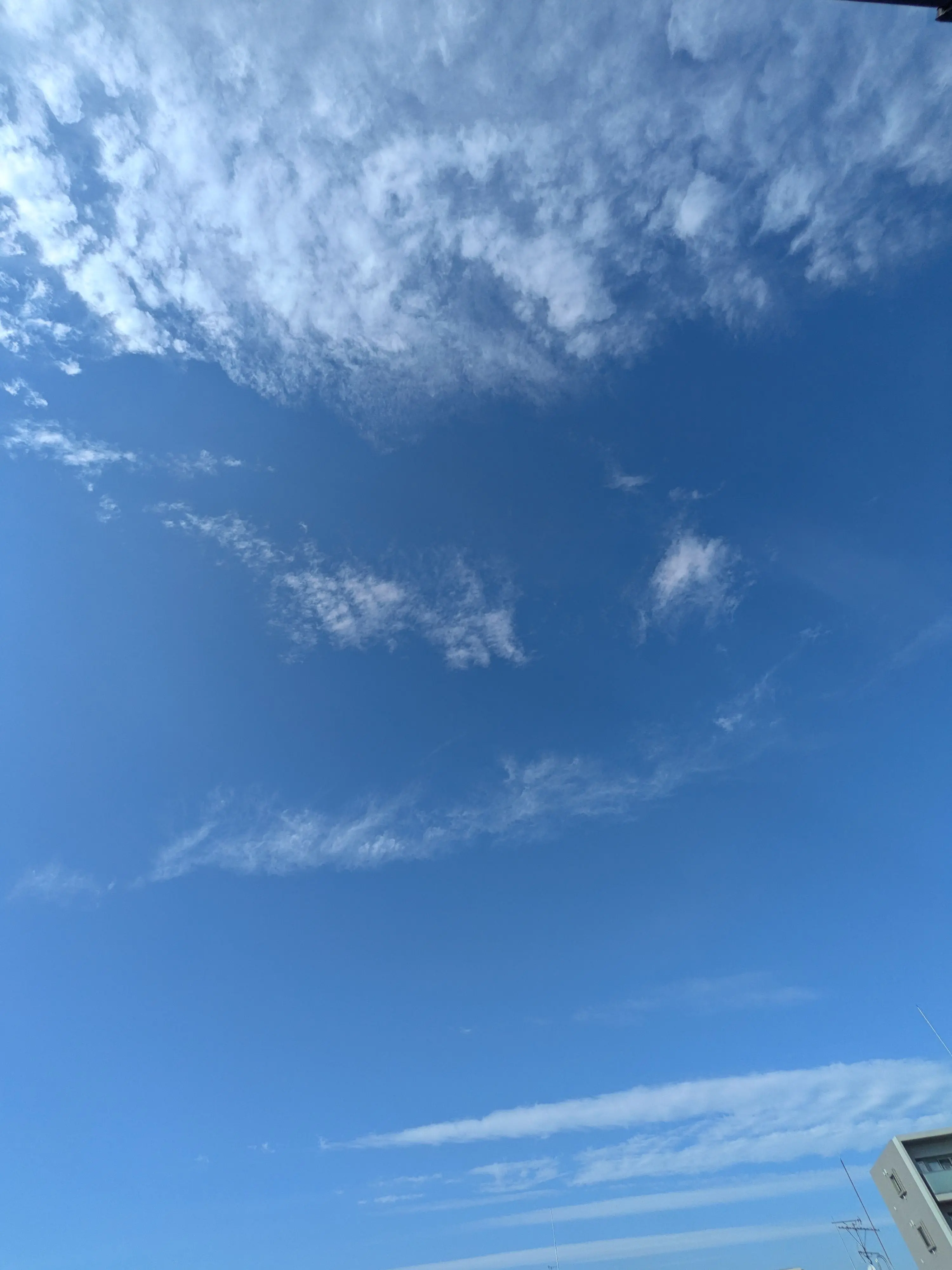 StockyLeaf9902의 お兄さんたちに拾われよう