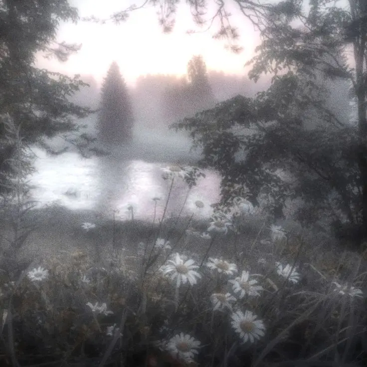 m_eat의 천국에 떨어져도