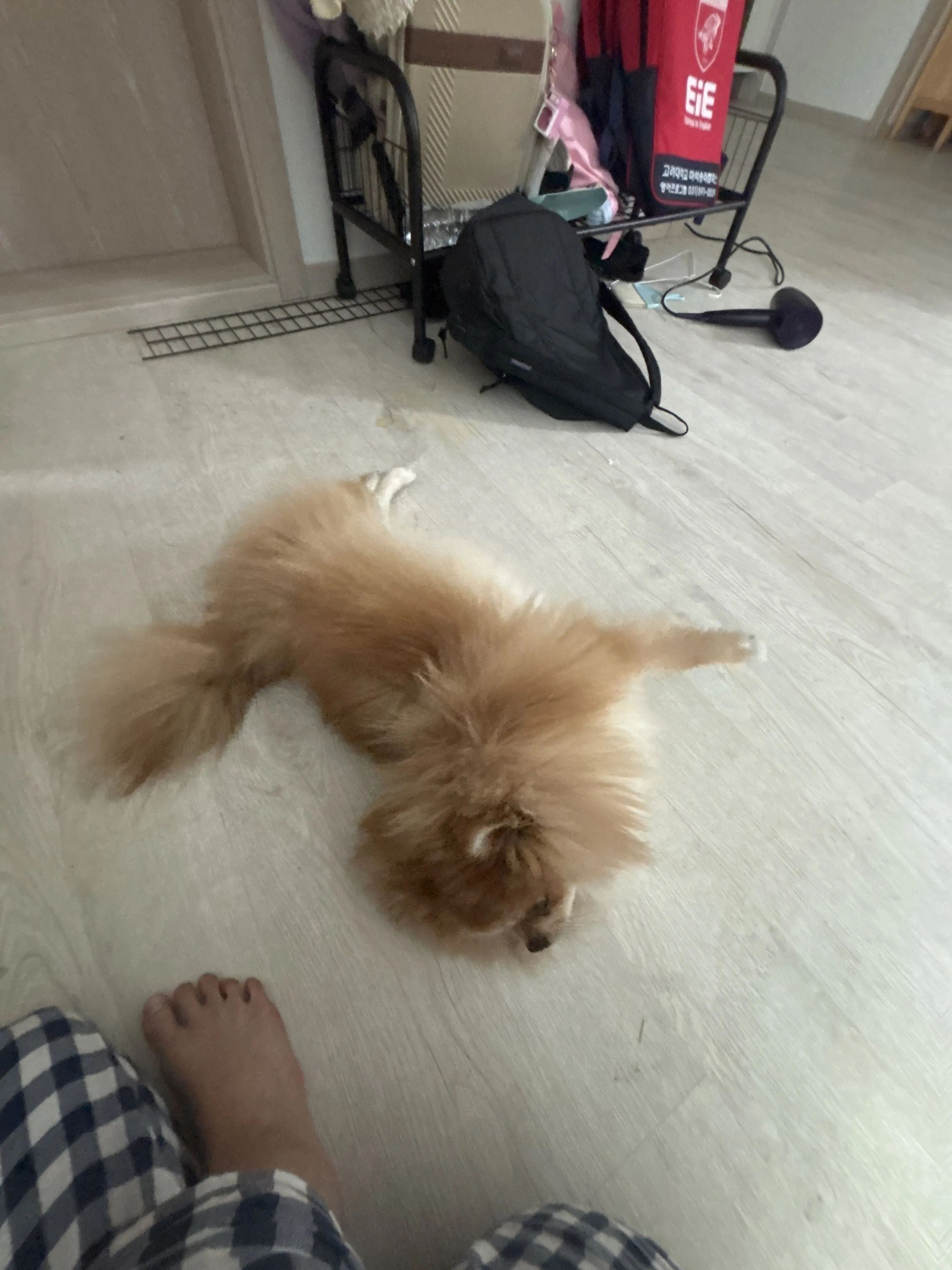 AngryAwake2409의 하현들과 상현들