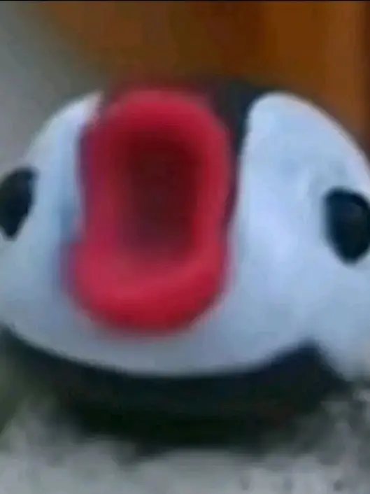 hhety2의 기유시노