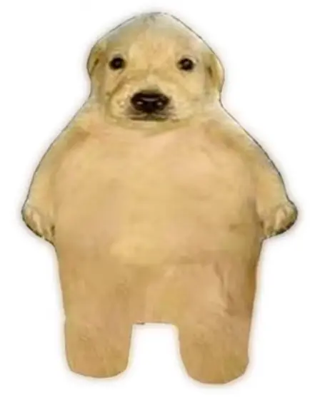 FlushPaper6947의 박지훈