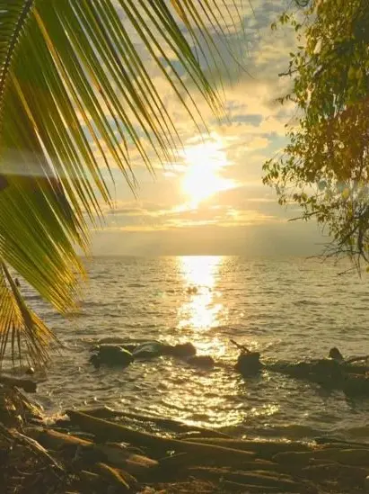 idgafiambetter의 Peaceful Life On The Island 🌺