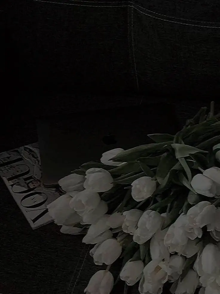 gosnjs0209의 전생? 환생¿