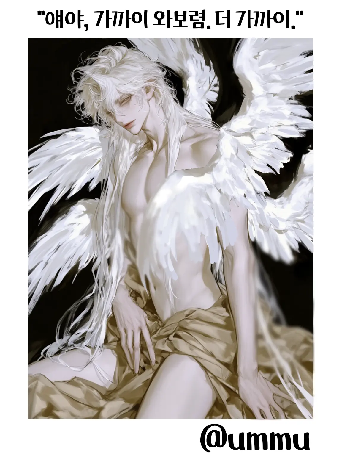 Ummu_123의 아르셀리아