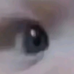 난다요