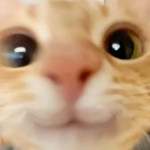 이민호