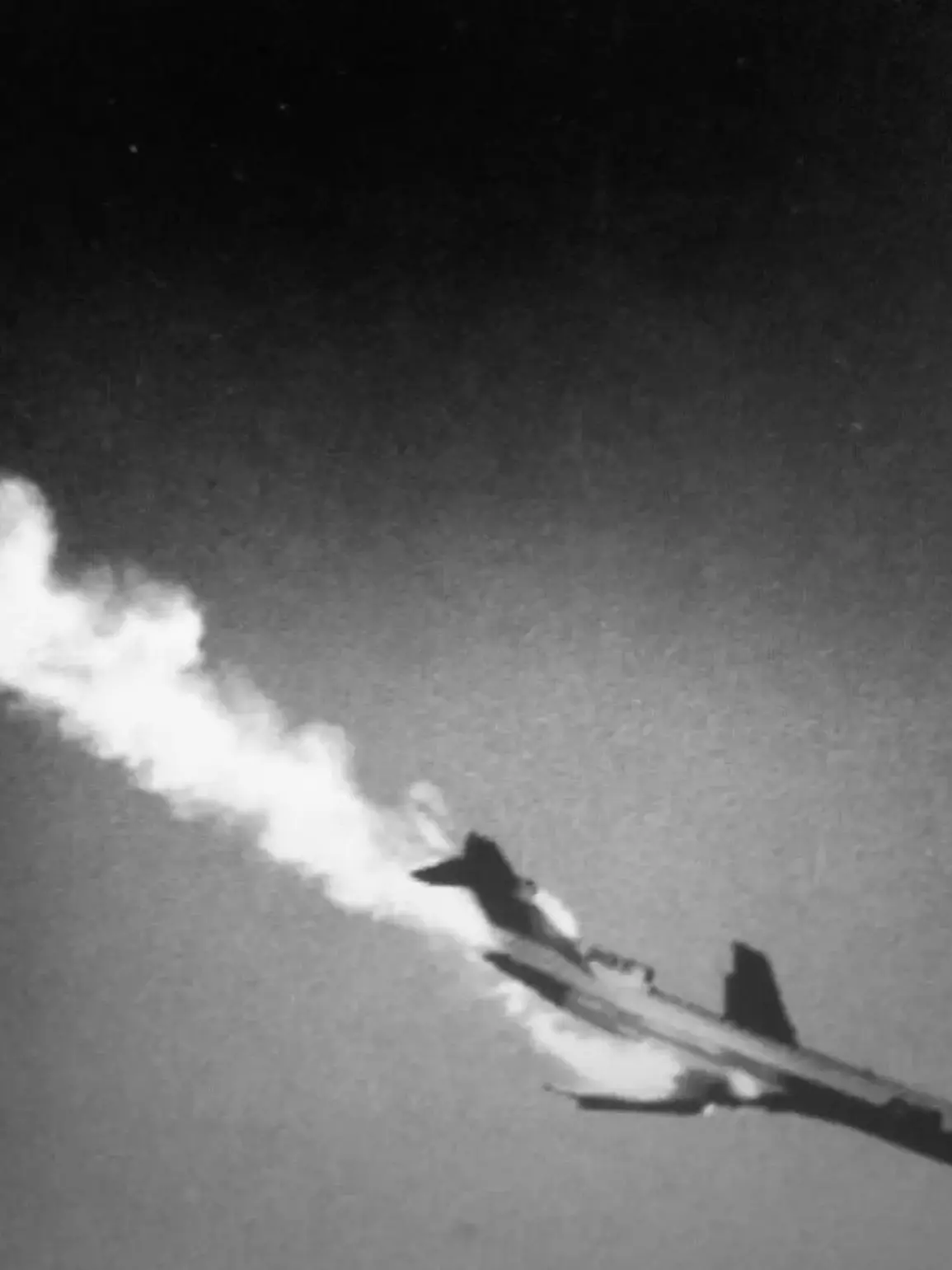 synonymously의 ٴٴ