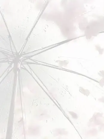anpan-00의 結婚 生活 .