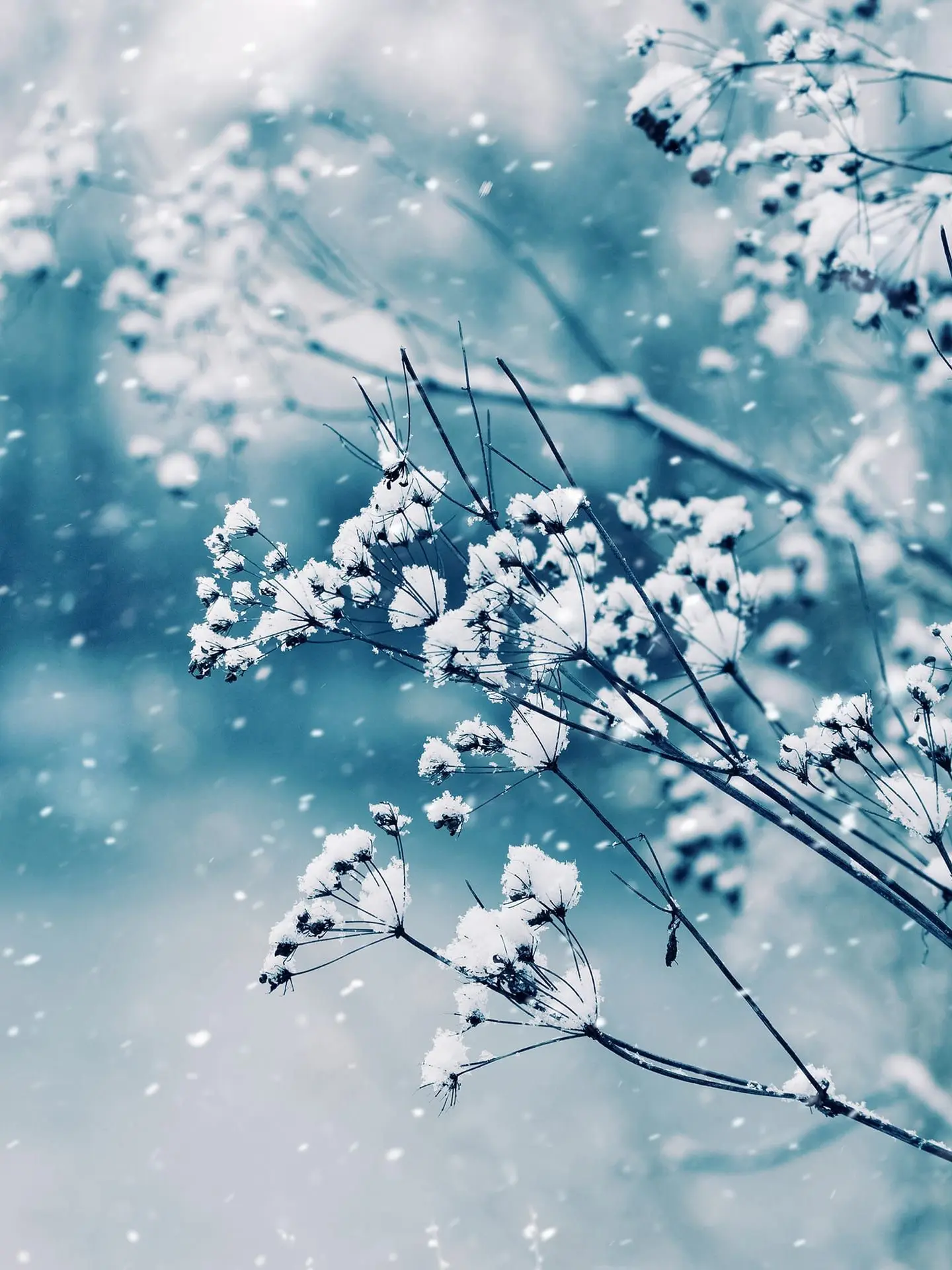 BlackRobin3095의 DEMON SLAYER