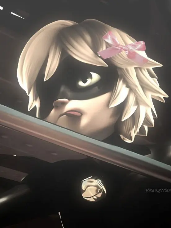 bedazzledballsack_29의 CHAT NOIR