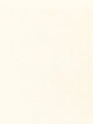 DullFife7596의 インタビューにて…