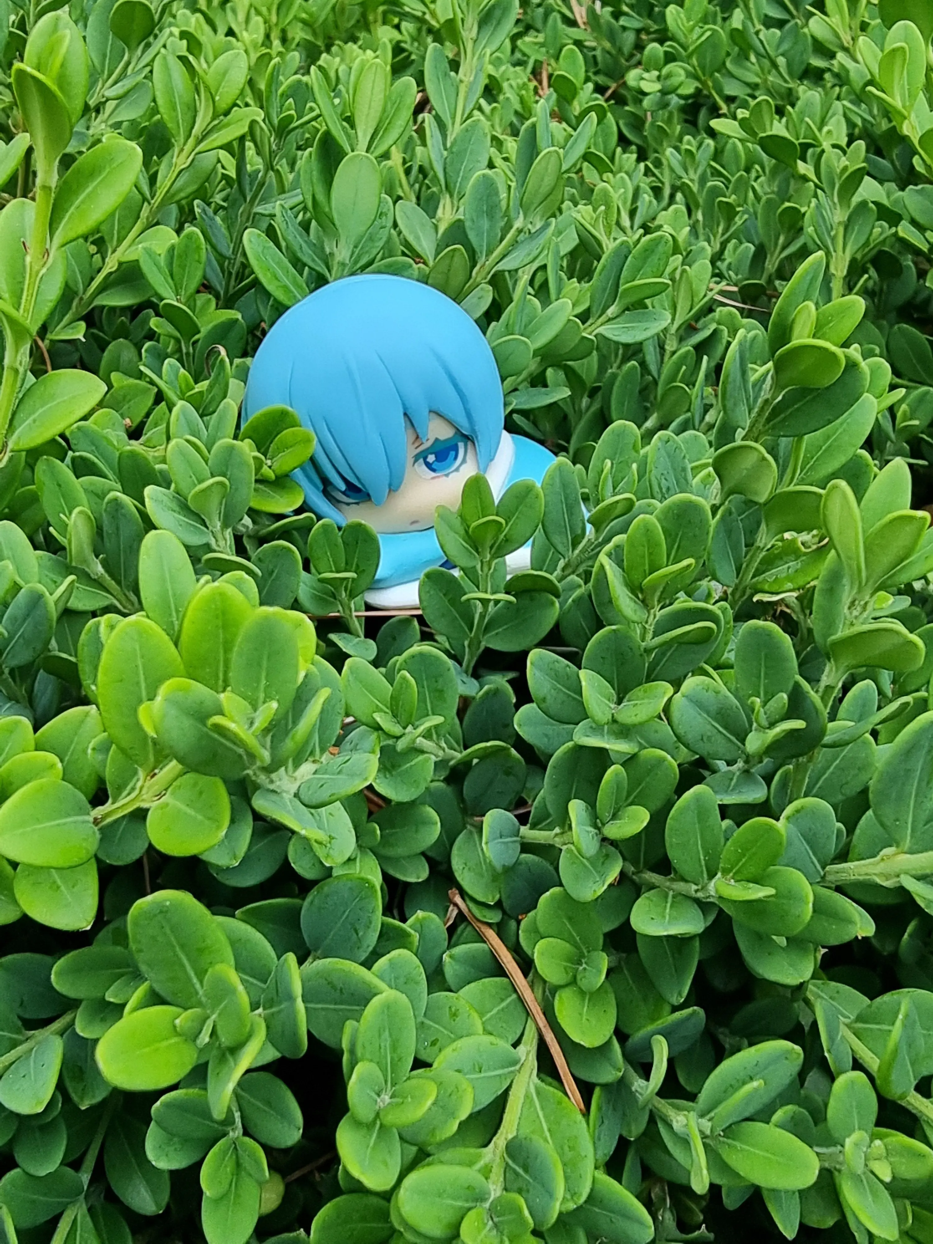 SHIDOUSAE_0707의 7월 어느 멋진날에