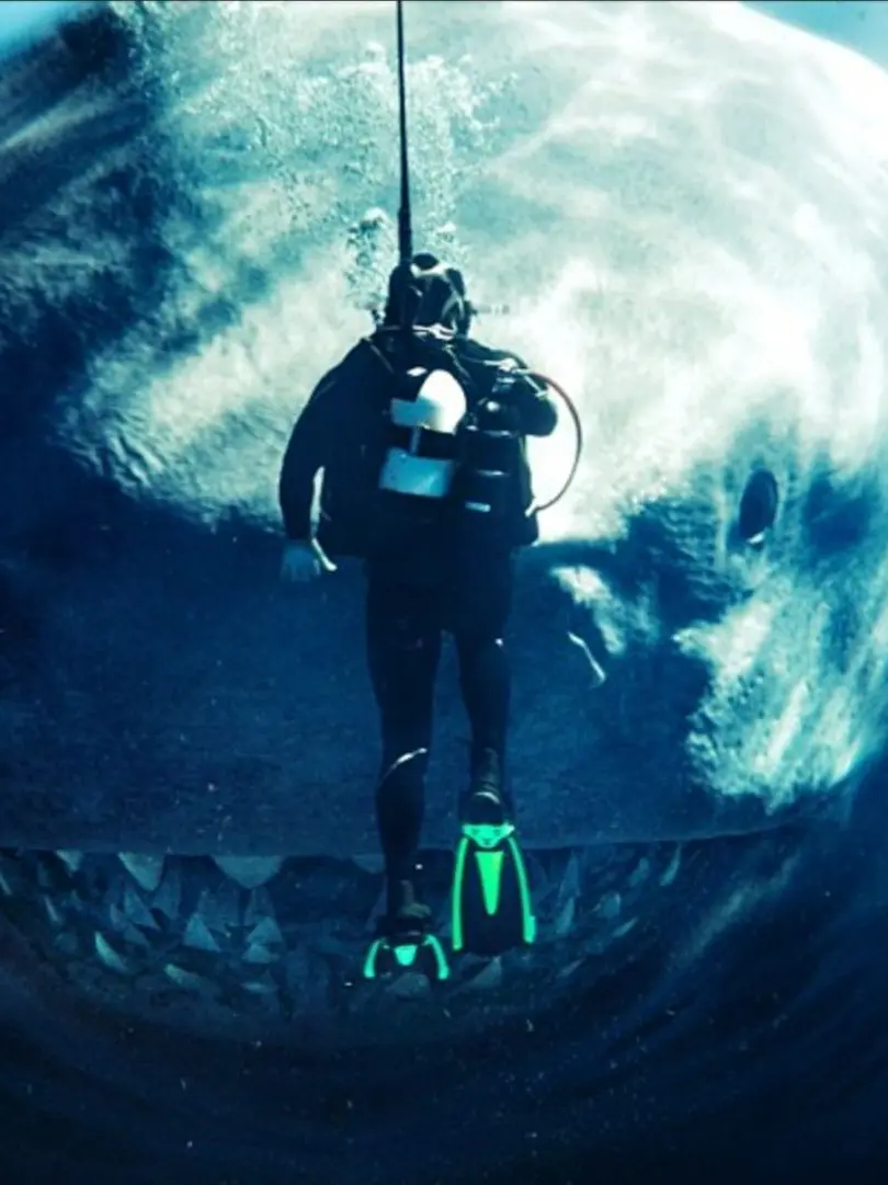 Jjjjjjjooo의 함만해줘요