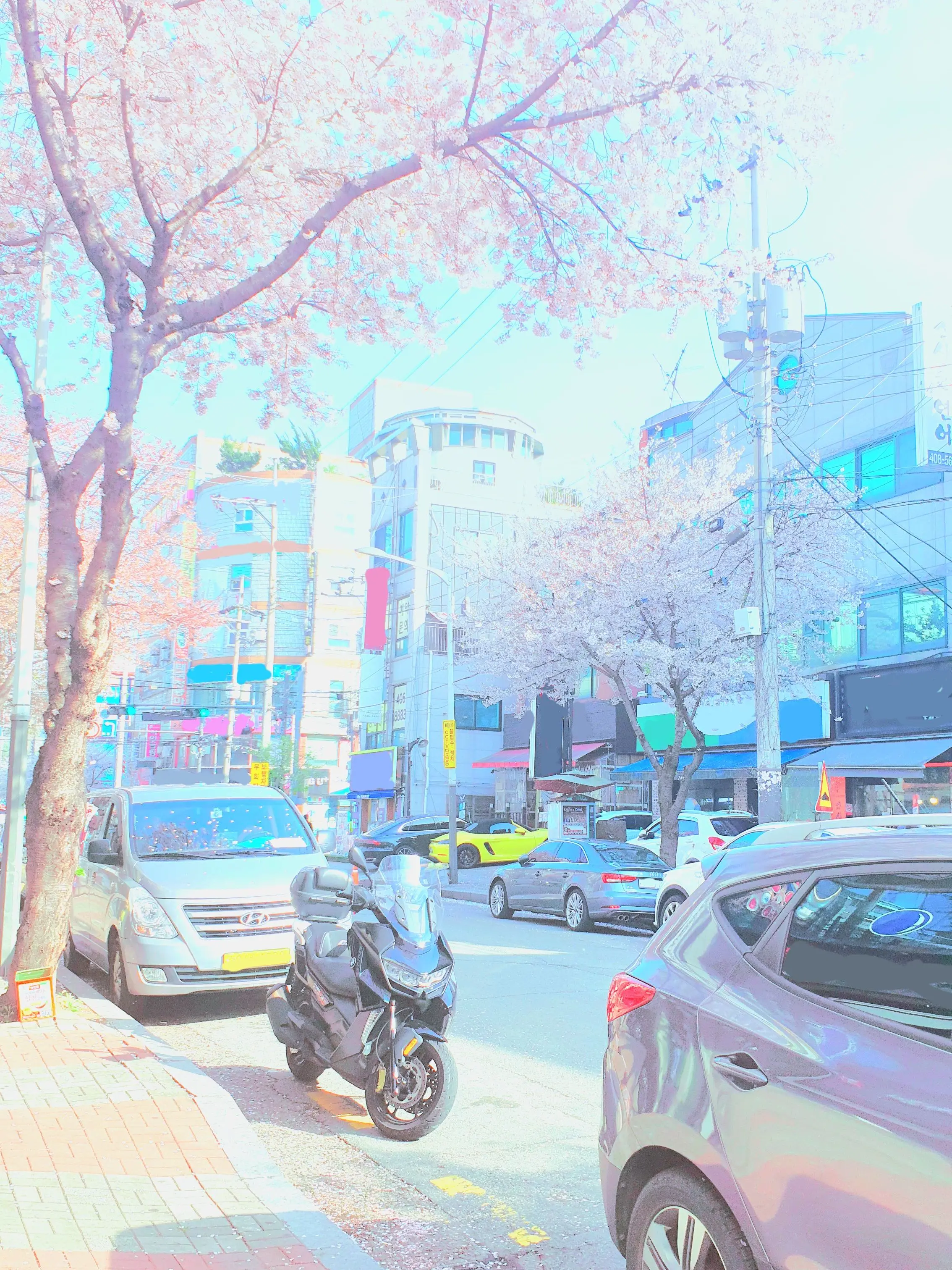 Suel의 볼트모트의 몰락, 여자 포터 그 후.