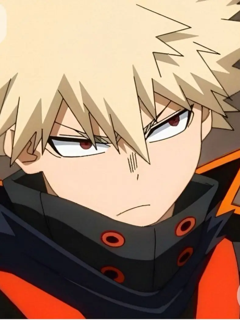 Dr.kokonm3.0492의 爆豪先生