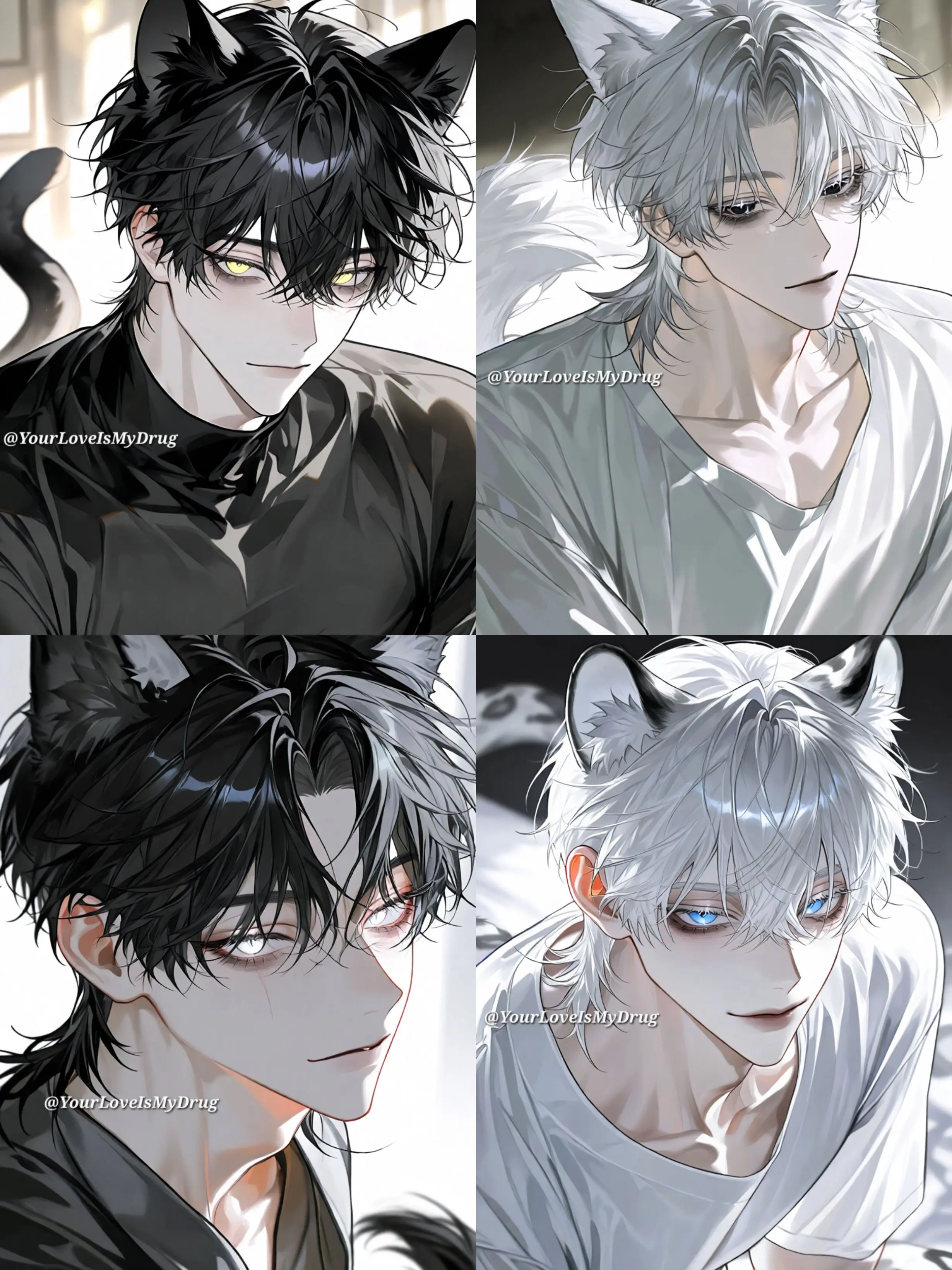 YourLoveIsMyDrug의 4명의 남편들