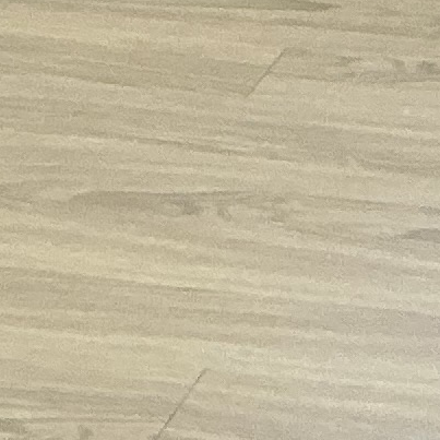 시노부 키우기 대표 이미지