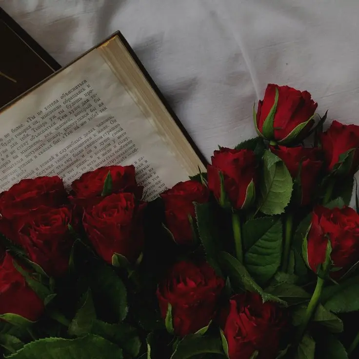 Dream.story의 🥀혐관인 서라더가 구원해주었다🥀