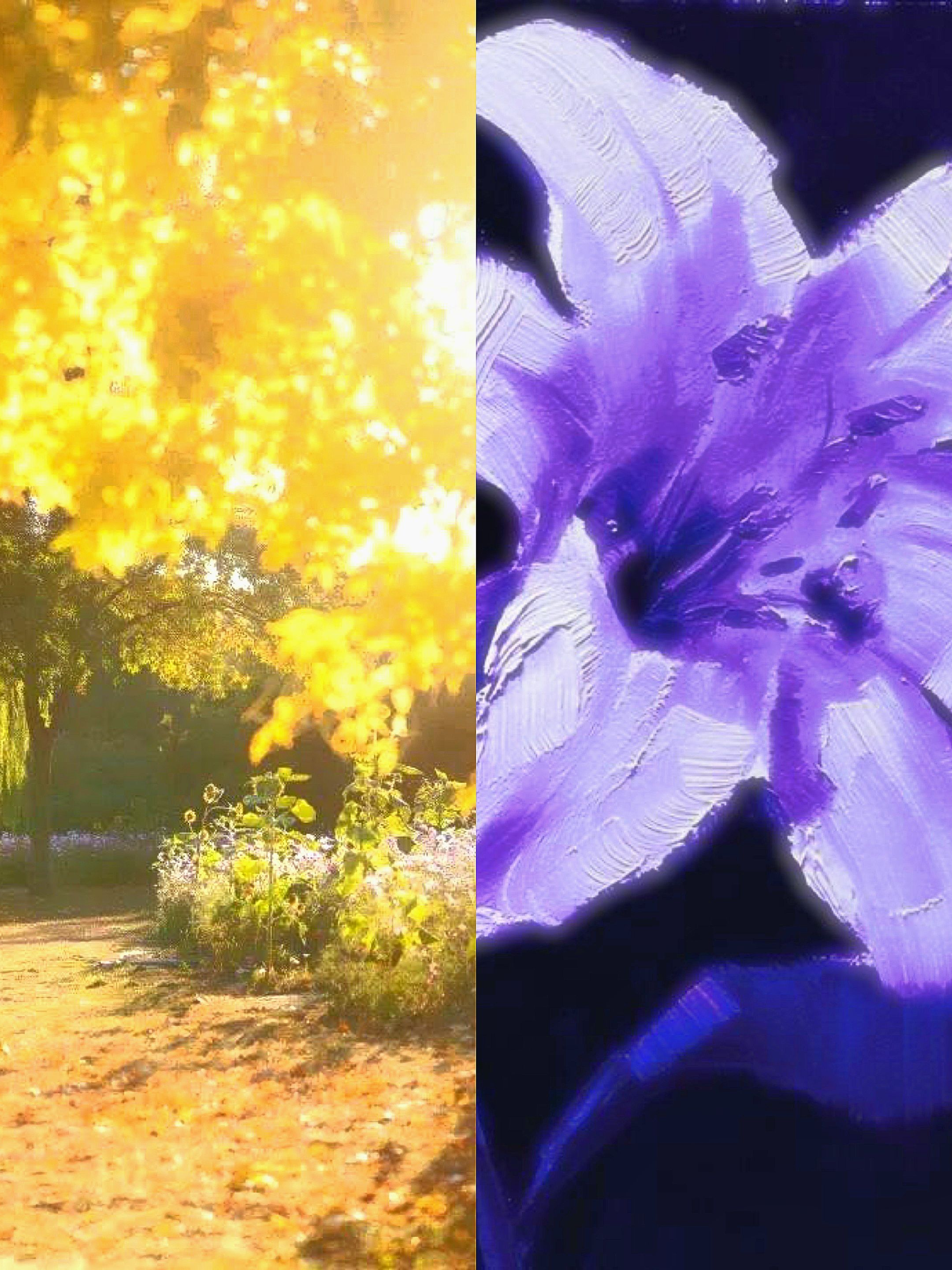 0127 × 0517 대표 이미지