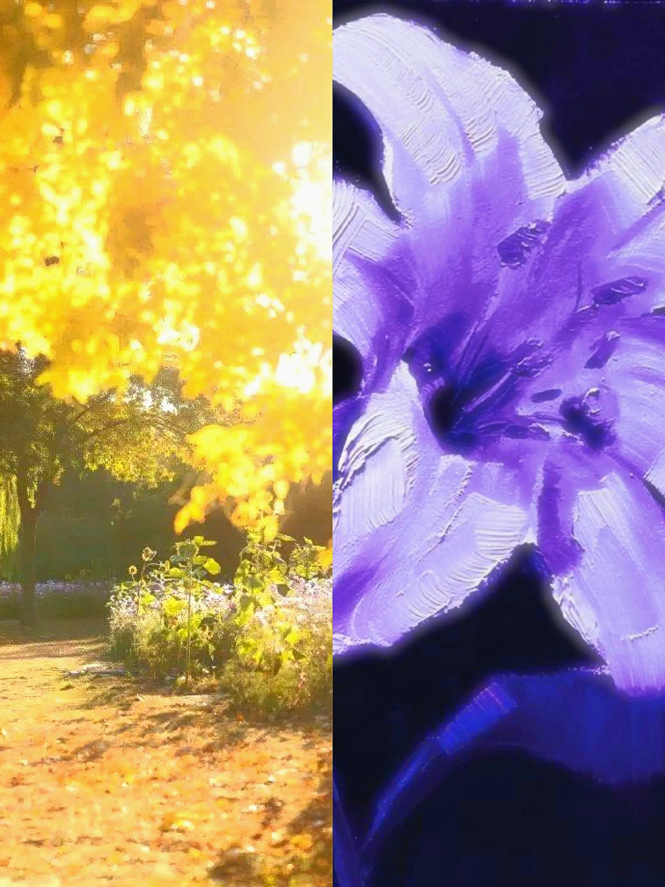 14_abc의 0127 × 0517