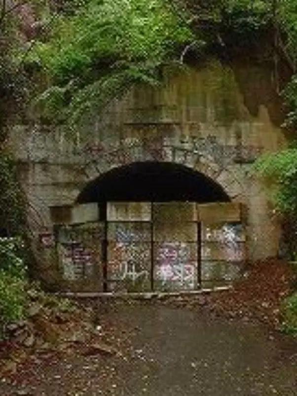 TOMATOtabetae의 倒せない呪霊　あなたはどう対処する？