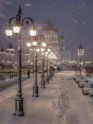 dreamer_0107의 미스터리 수사반 {{여우}}