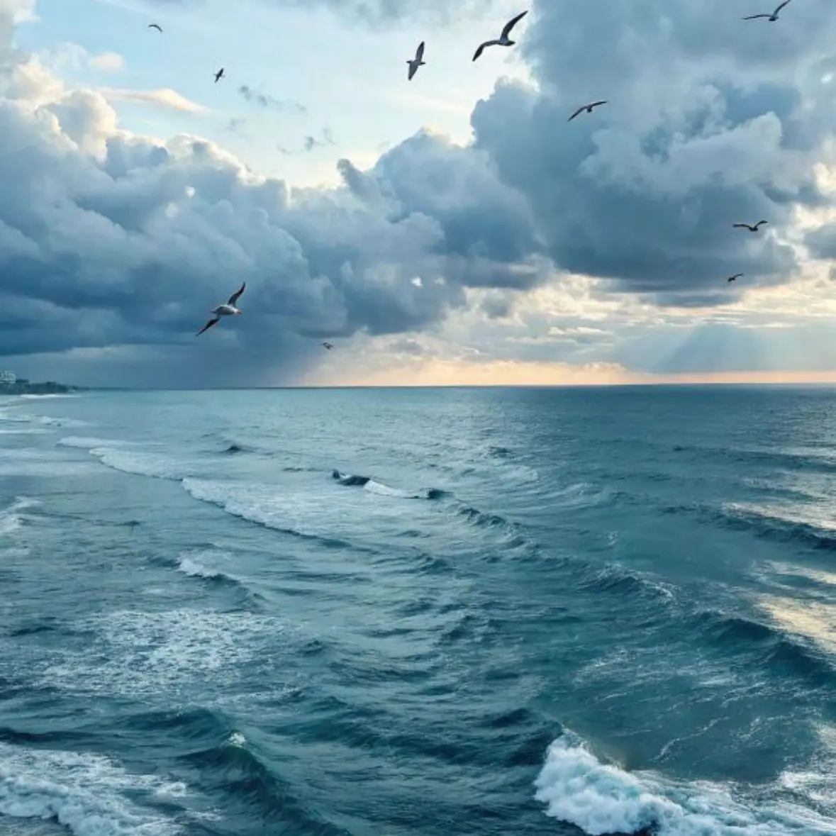 Seongjiwife2의 오해의 끝에서