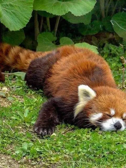 Riki_01124의 すんぐぁん