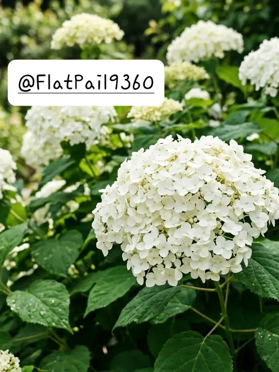 DIEA2468의 널  처음 만난날.