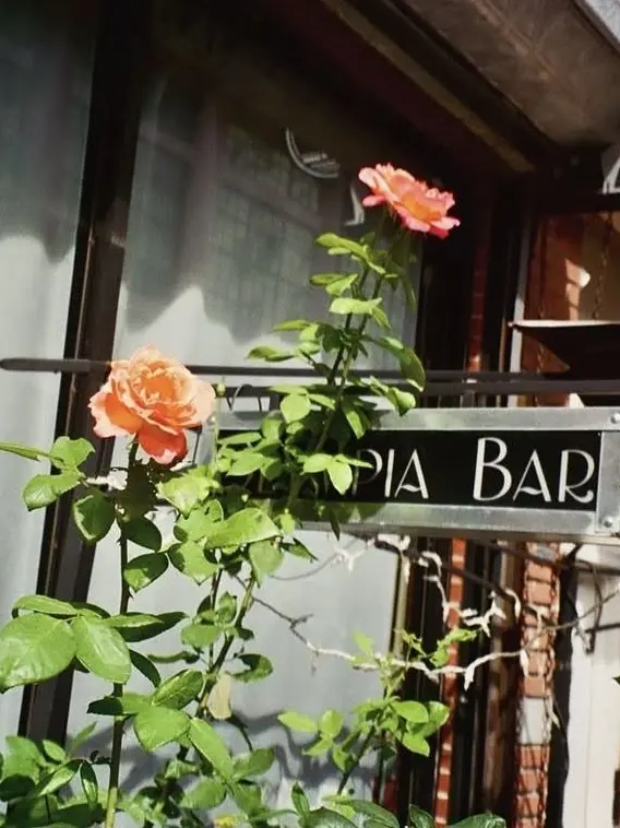 MacBook._BOOKOFF의 。