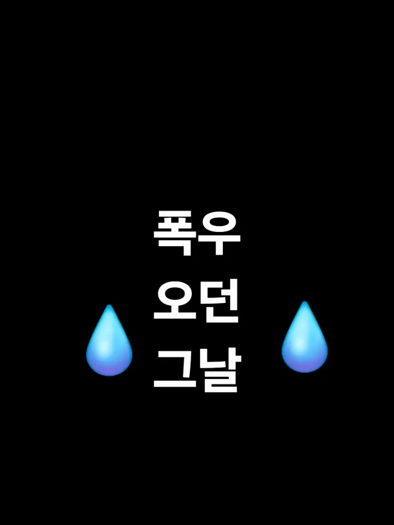 RigidShoe6417의 폭우오던 그날
