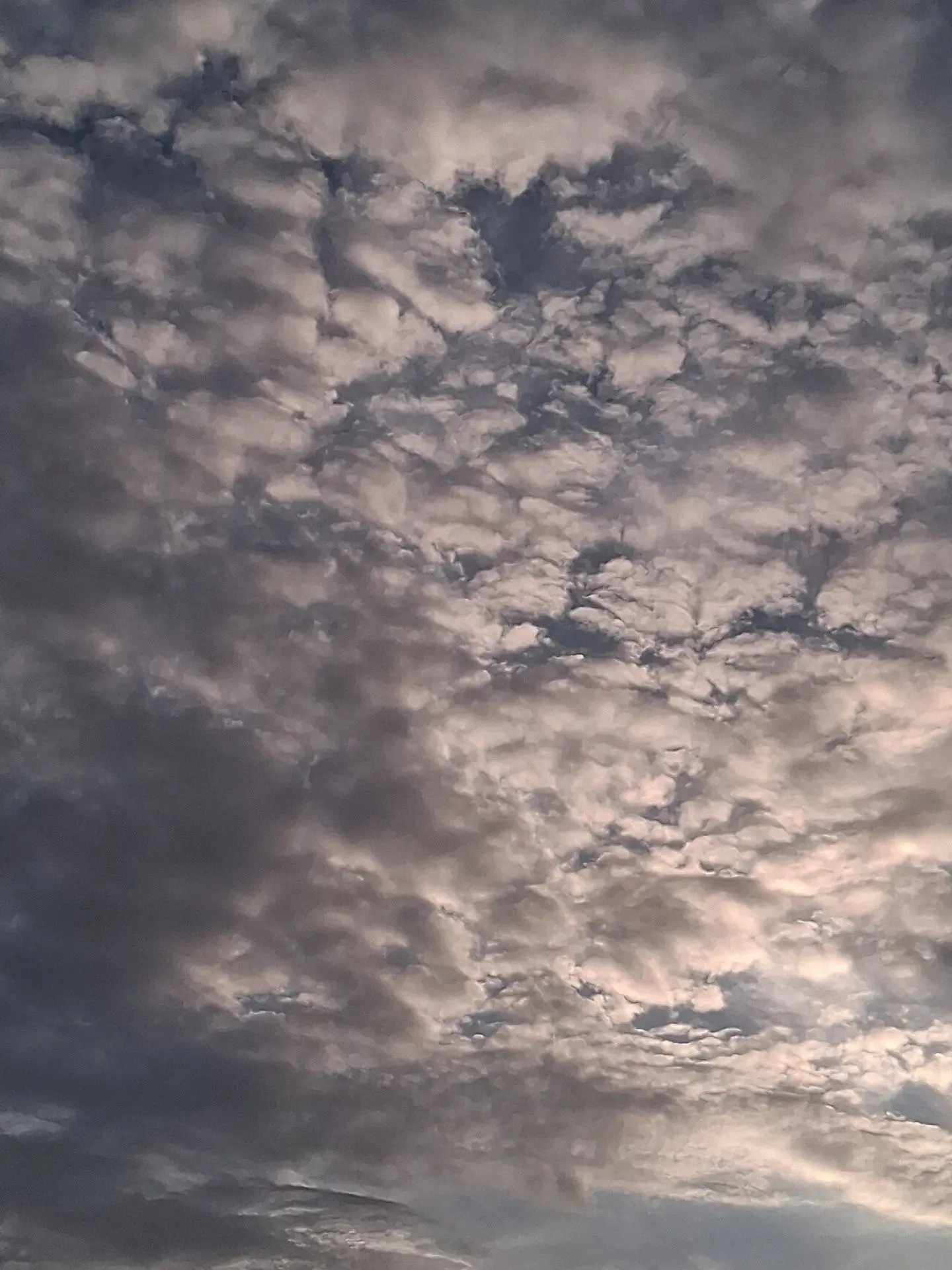 NightCloud의 ~Mha~