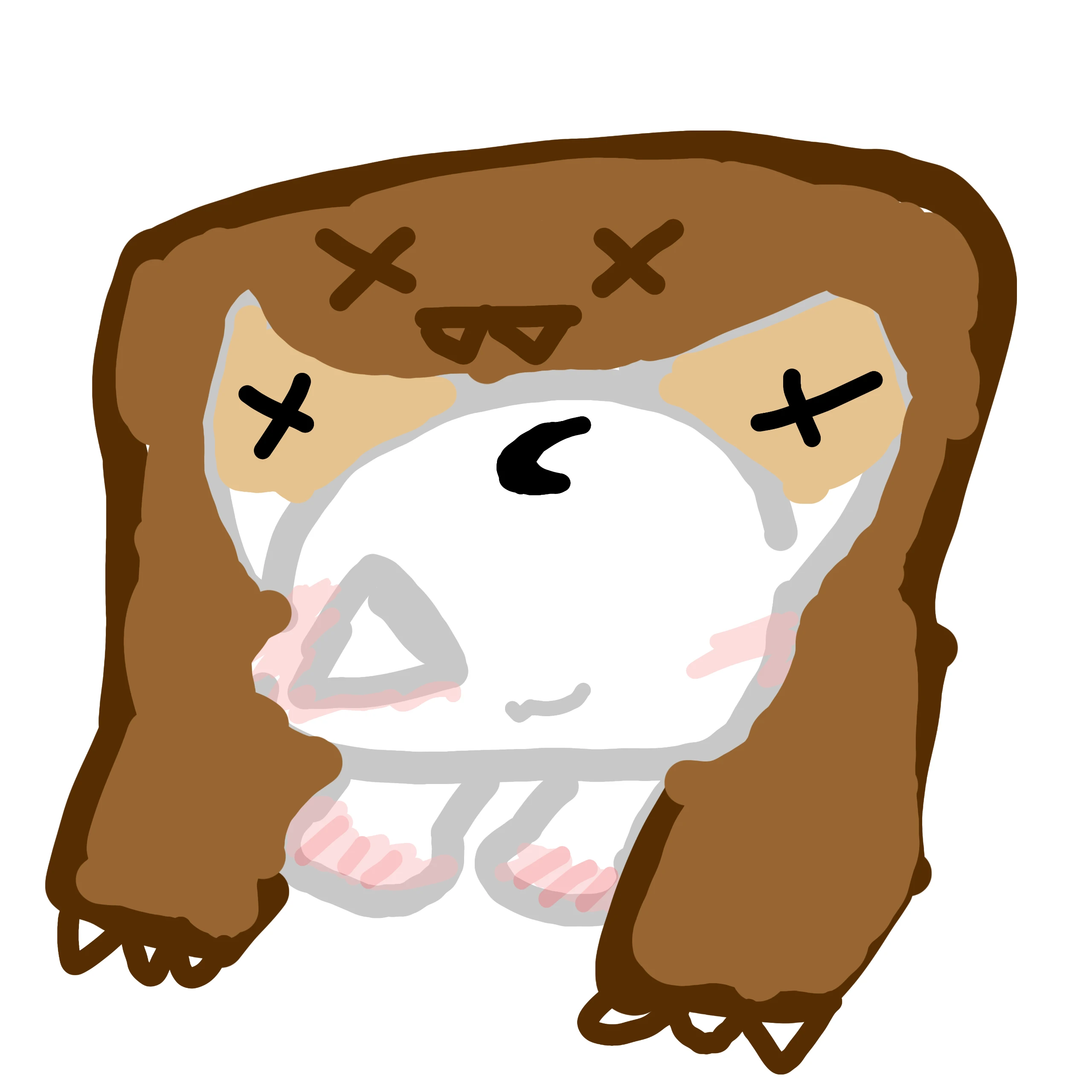 수상한 고양이