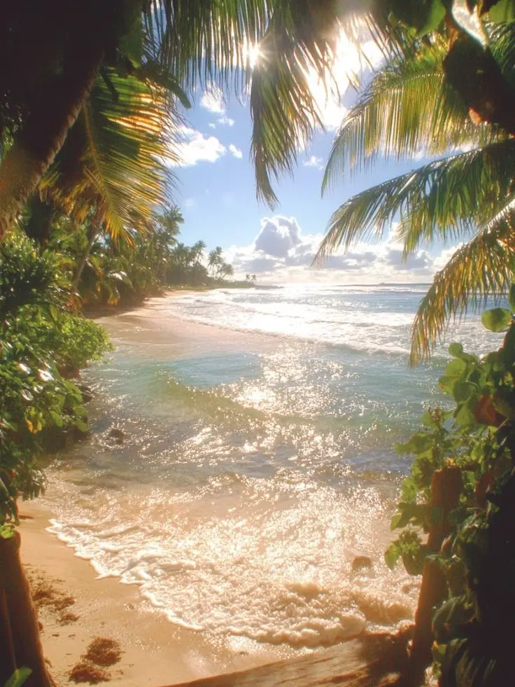 GrilledCheese의 🌊 Sonic Pirate AU 🌟