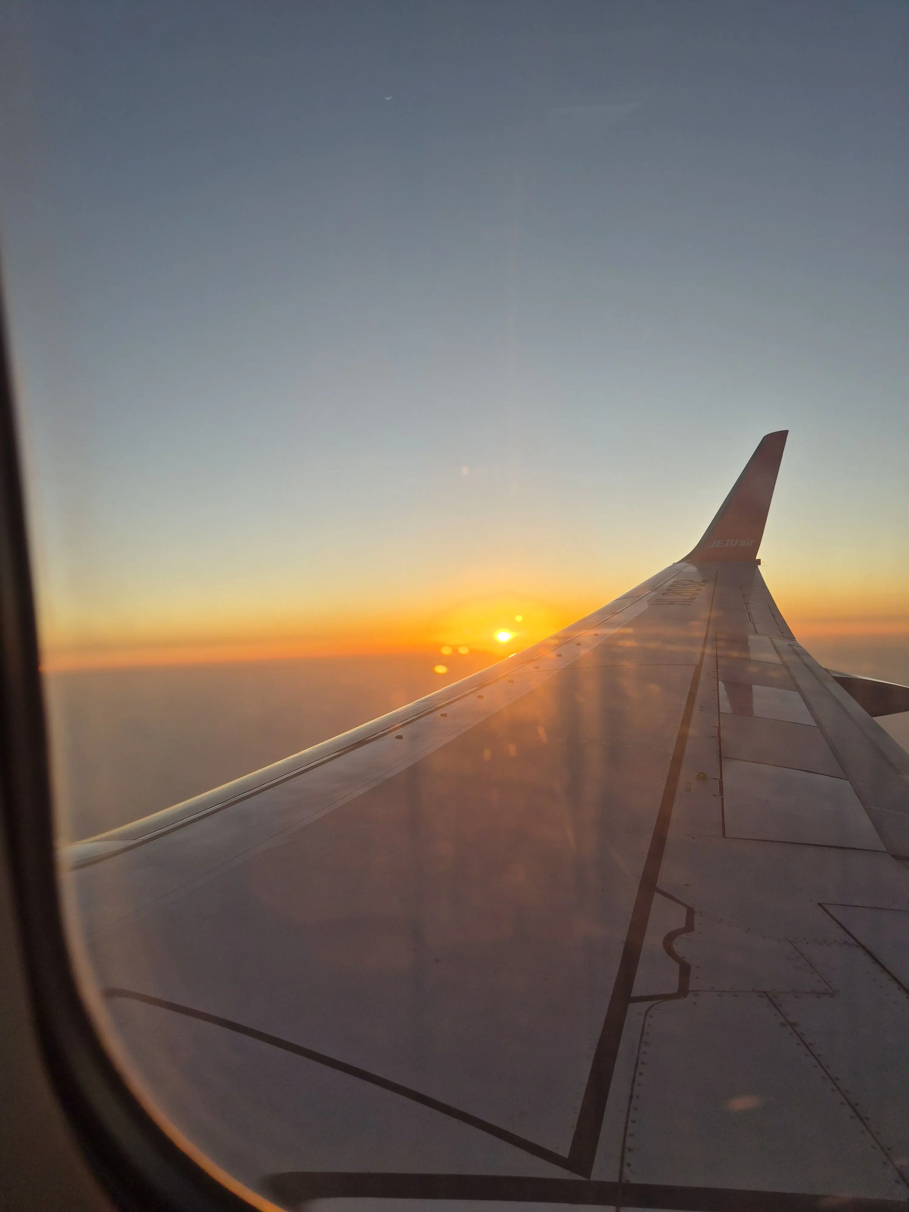 SturdySkunk3506의 ㅅㅔㄴㅚ