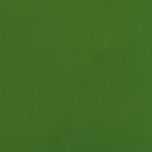 お酒で酔うタイプ。