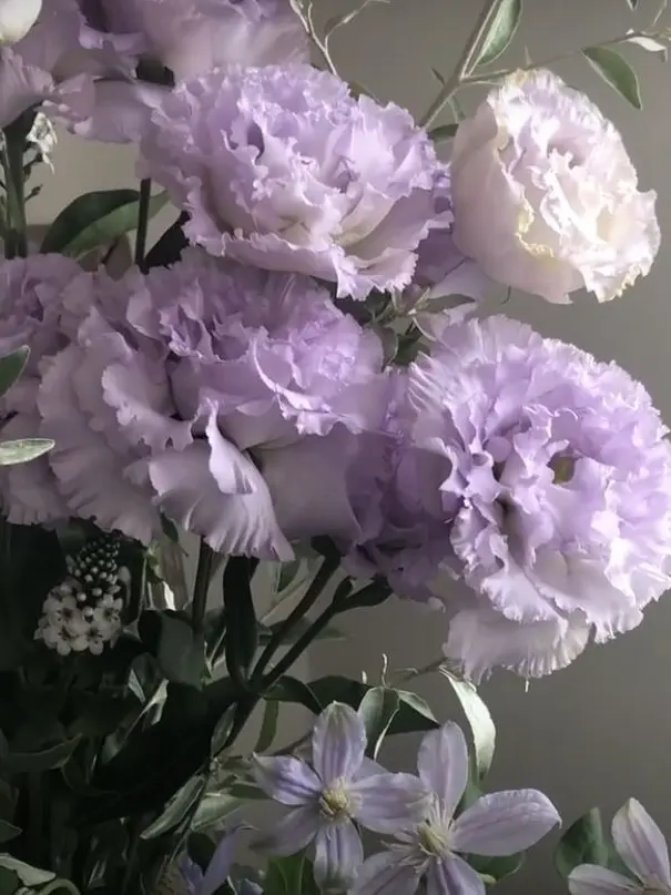 Kanae_074의 不破湊