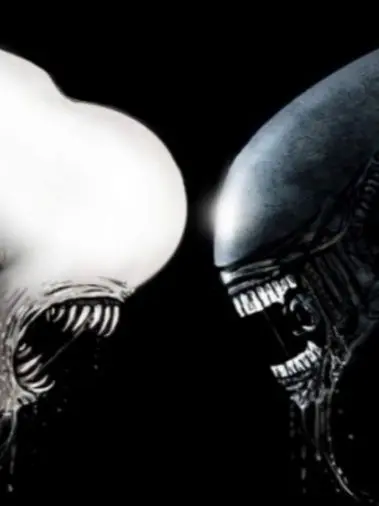 pamuji의 당신을 가지려 싸우는 에이리언 두마리