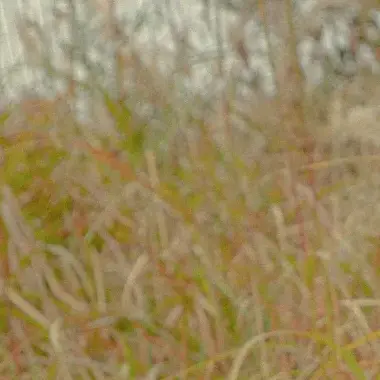 chae_Wal의 LUCY에게 찍혔다