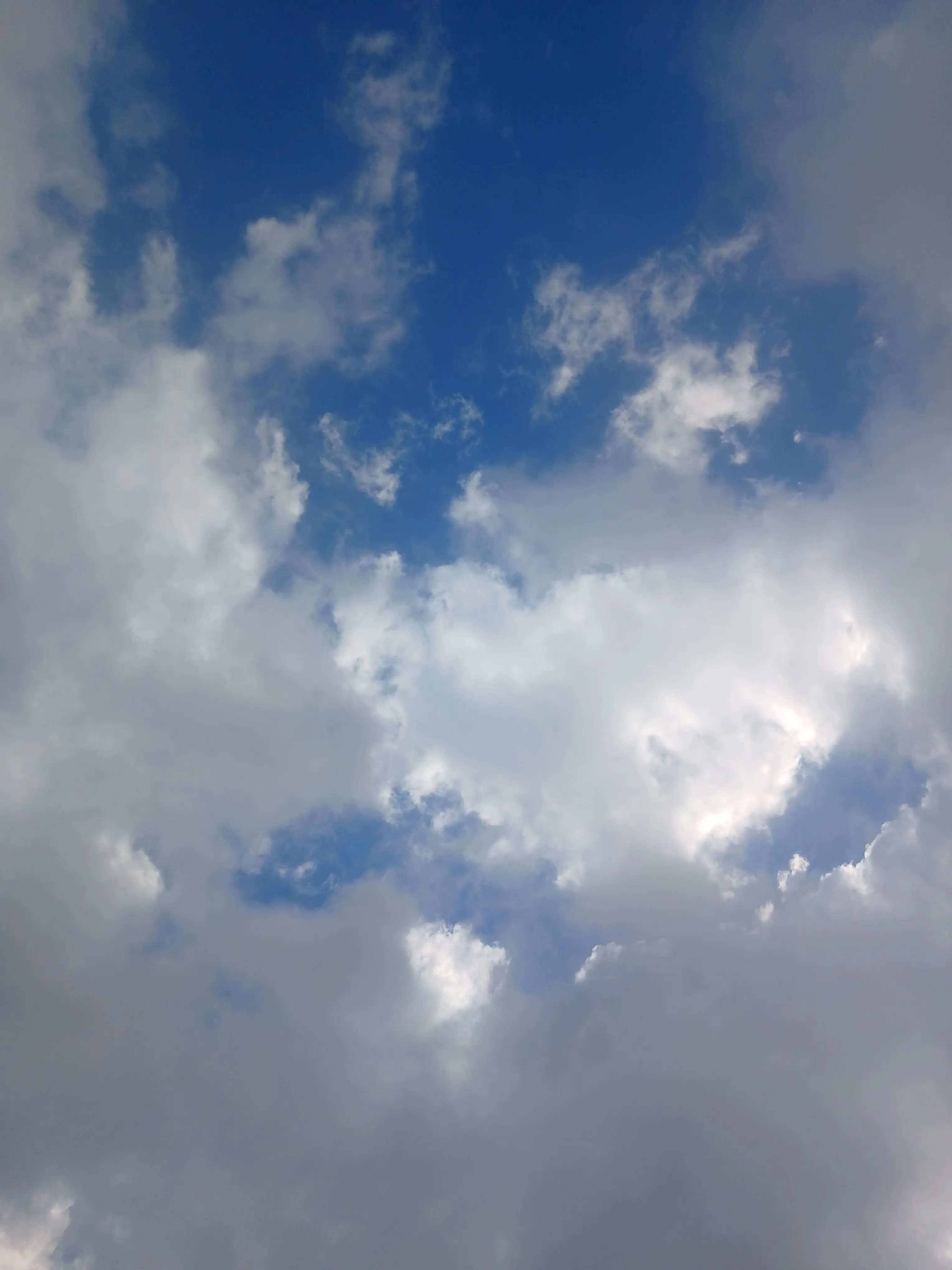 HumidSwipe3261의 에션,비슽 동거(여우없음요)