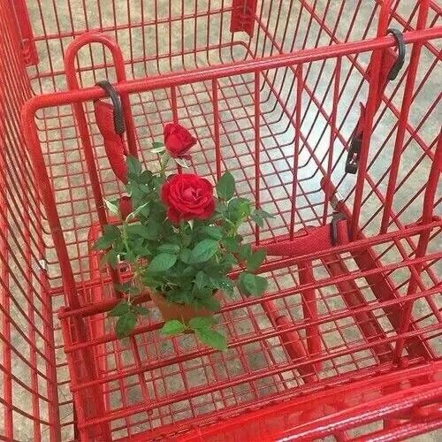 Furing0225의 보스 (시리즈 제작)