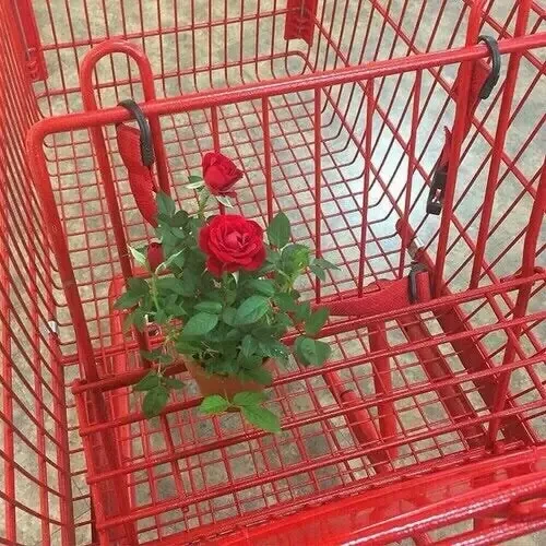 보스 (시리즈 제작)