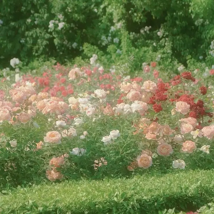 OlivePeach8225의 학교 끝나자마자 운동 온 거야?