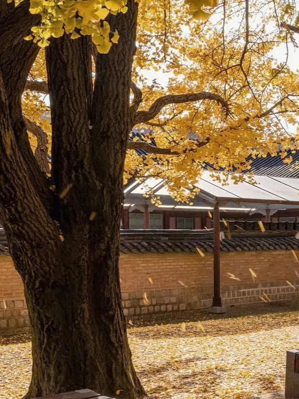 jk7의 🪶 알싸한 내 사랑을 알아주시오