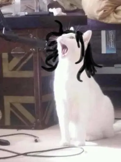I_change_myself의 알럽후이
