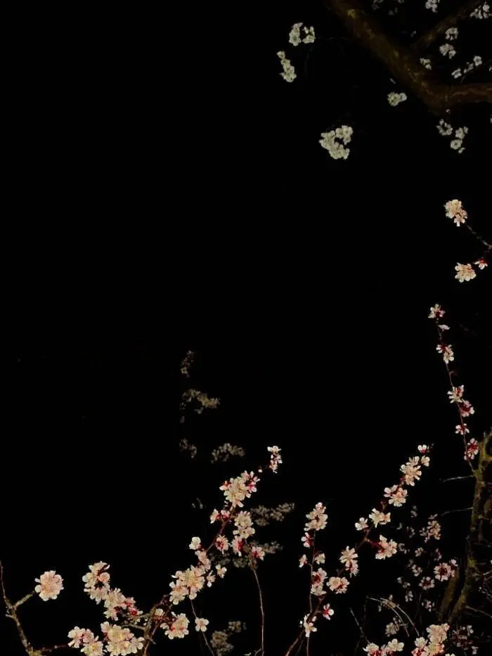 rhdiddl486의 永生を生きる私のもとに君が来た