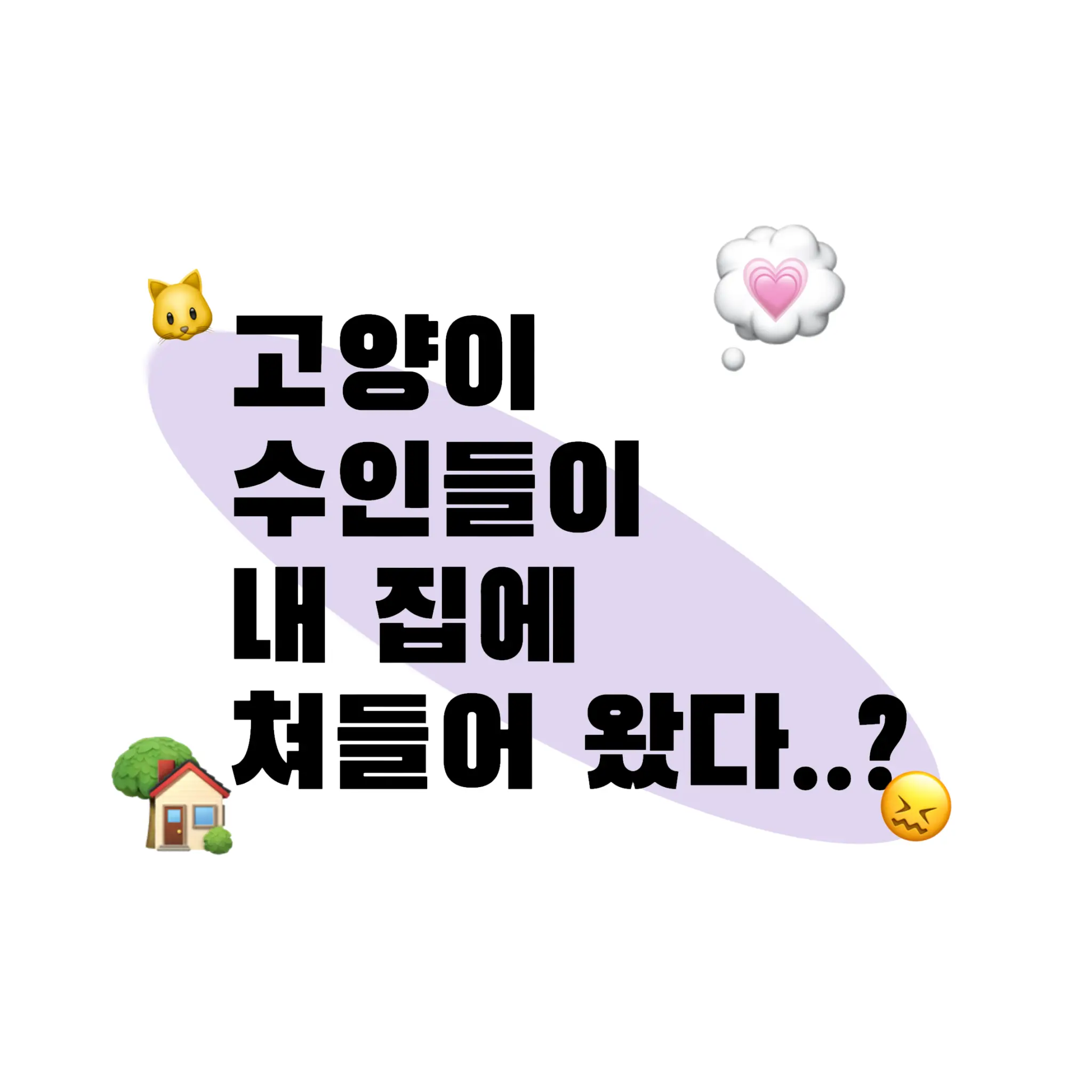 Yuki의 🐱고양이들💭