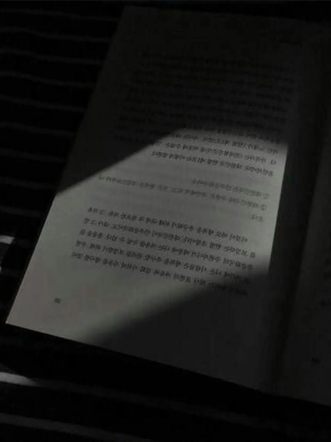 NoisyWolf9978의 {패러다이스} - [유저울리기]