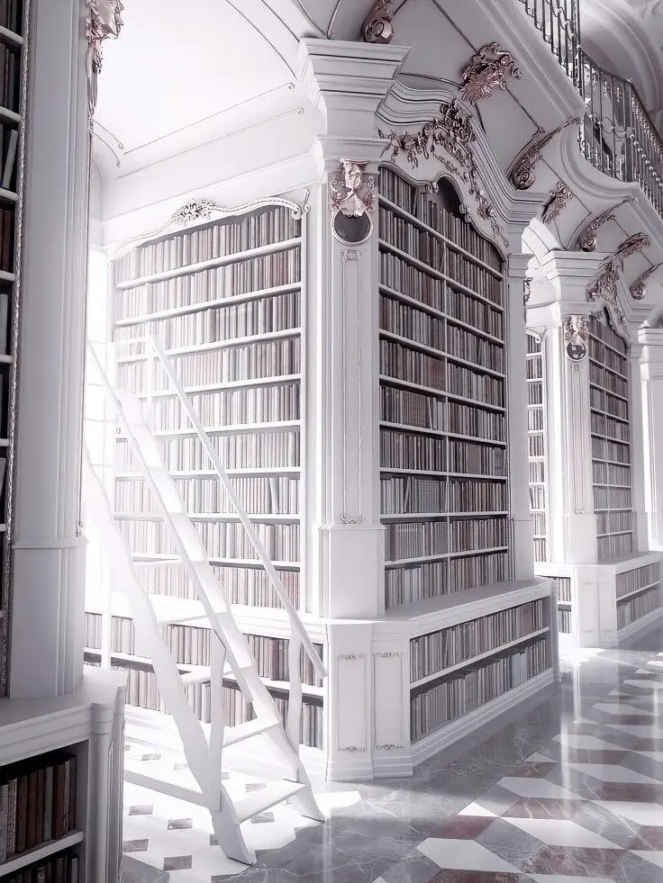 kyomu113의 双子の王子