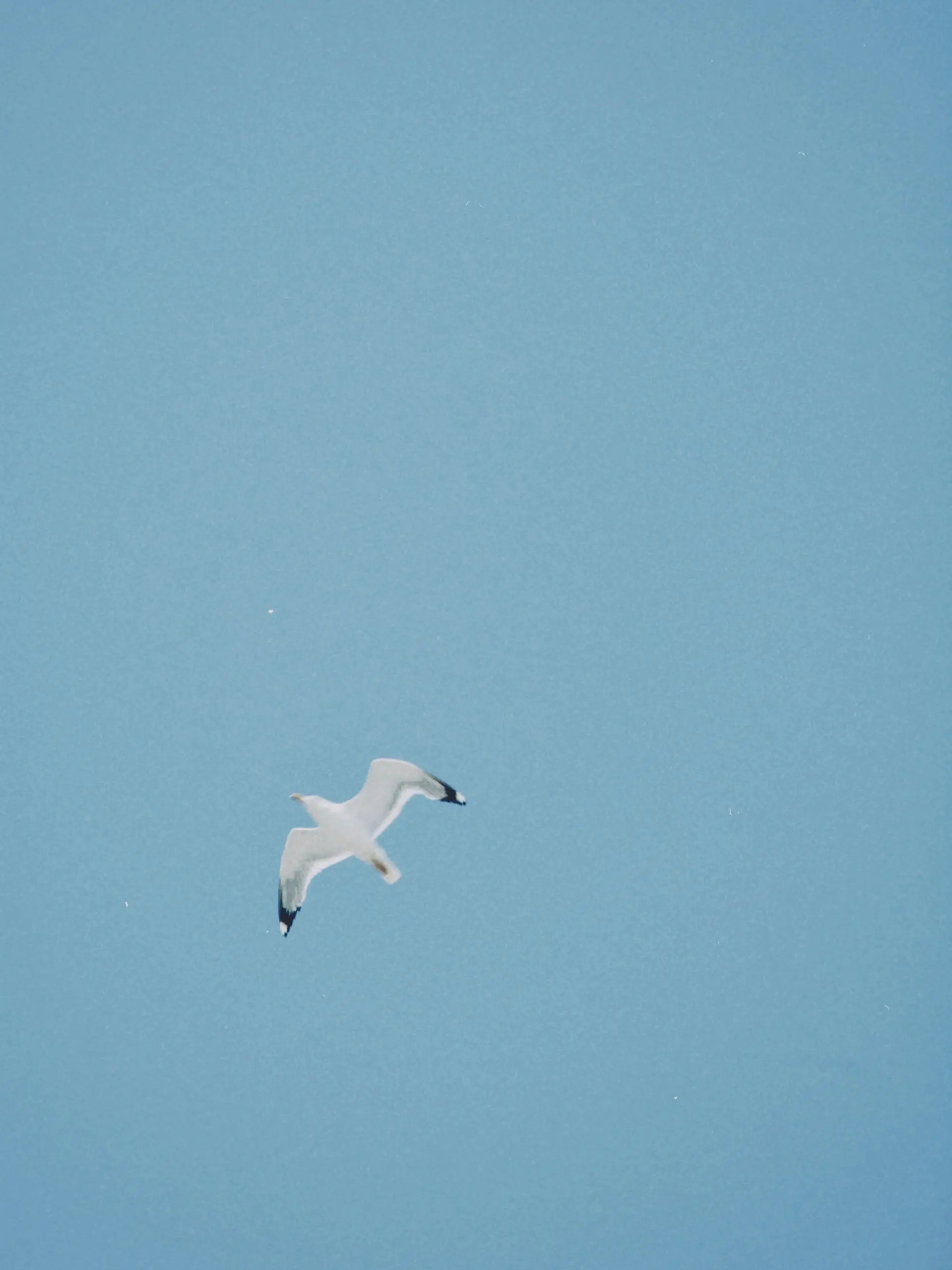 0patin_eTa의 Noah Everhart